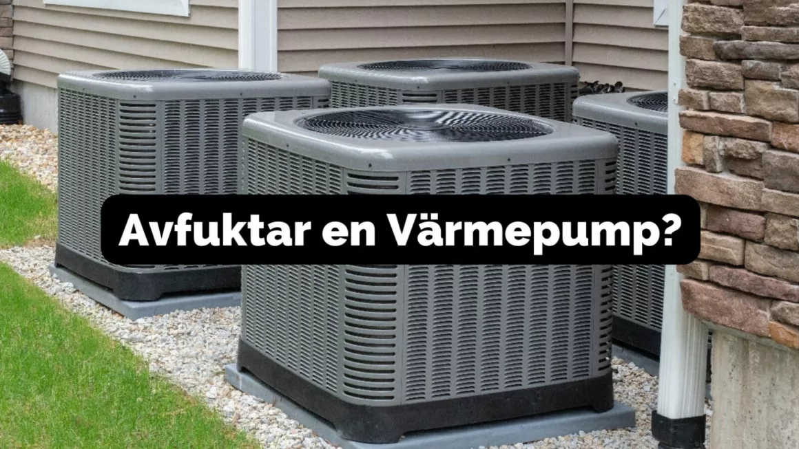 Värmepump och luftfuktighet: Avfuktar en värmepump?